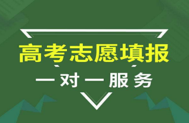 貴州貴陽十大高考志愿填報一對一輔導(dǎo)機(jī)構(gòu)榜單排名一覽