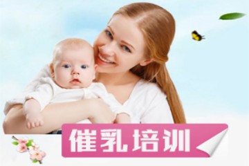 國內(nèi)催乳師高級培訓(xùn)班