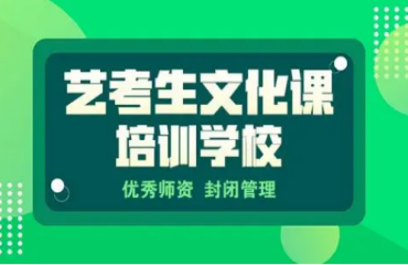 武漢top10高三藝考文化課輔導(dǎo)培訓(xùn)機(jī)構(gòu)精選排名一覽