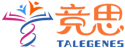杭州競(jìng)思教育
