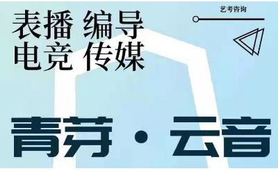 南京秦淮區(qū)十大藝考培訓(xùn)集訓(xùn)班排名名單一覽