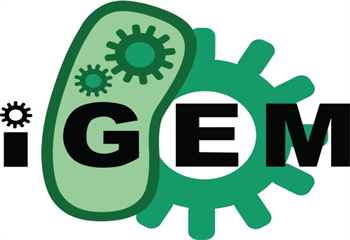 武漢6大iGEM國際競賽高級課程培訓(xùn)輔導(dǎo)機(jī)構(gòu)排名更新