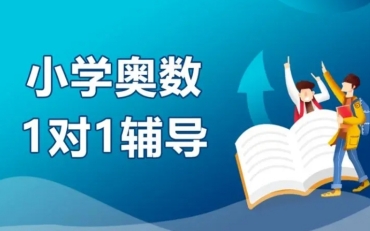 重慶10大知名的奧數(shù)一對一輔導機構排名一覽
