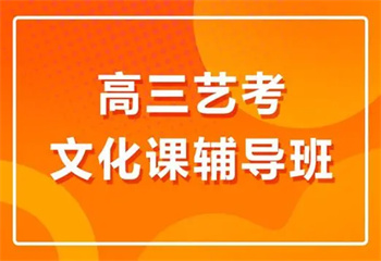 2025山東濟(jì)南藝體生文化課培訓(xùn)機(jī)構(gòu)TOP10榜一覽