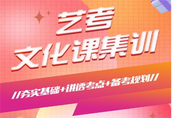 重慶沙坪壩區(qū)十大藝考文化課一對一個輔導班名單榜匯總