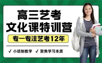 高三藝考文化課特訓(xùn)營(yíng)